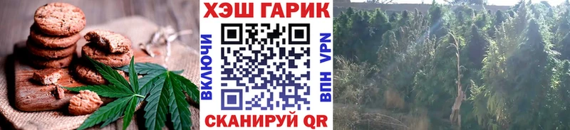 Купить  Слободской  Canna-Cookies марихуана