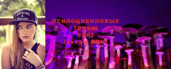 соль курить ск Каменногорск