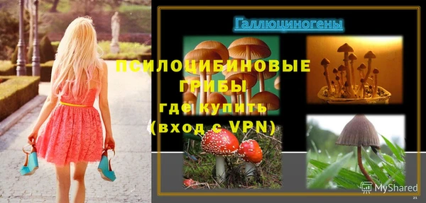 соль курить ск Каменногорск